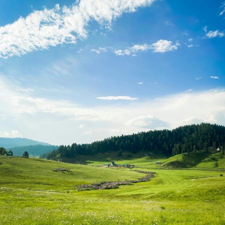 Blog 1- inner page 2