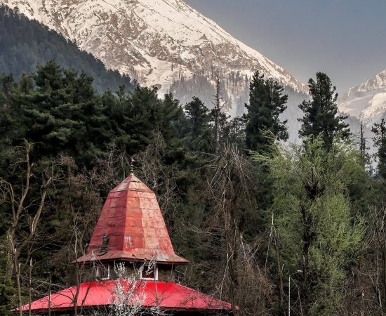 Blog_24_Tripping_Heights