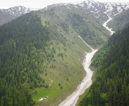 Blog_Tripping_Heights_2