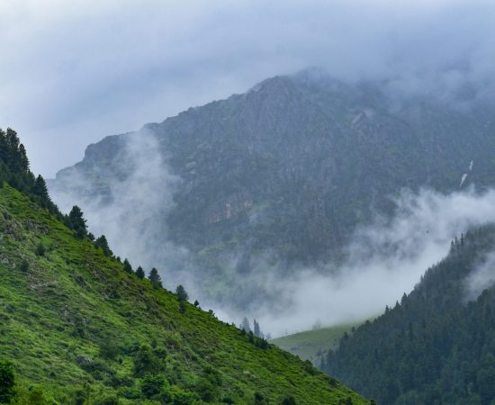 Blog_Tripping_Heights_3